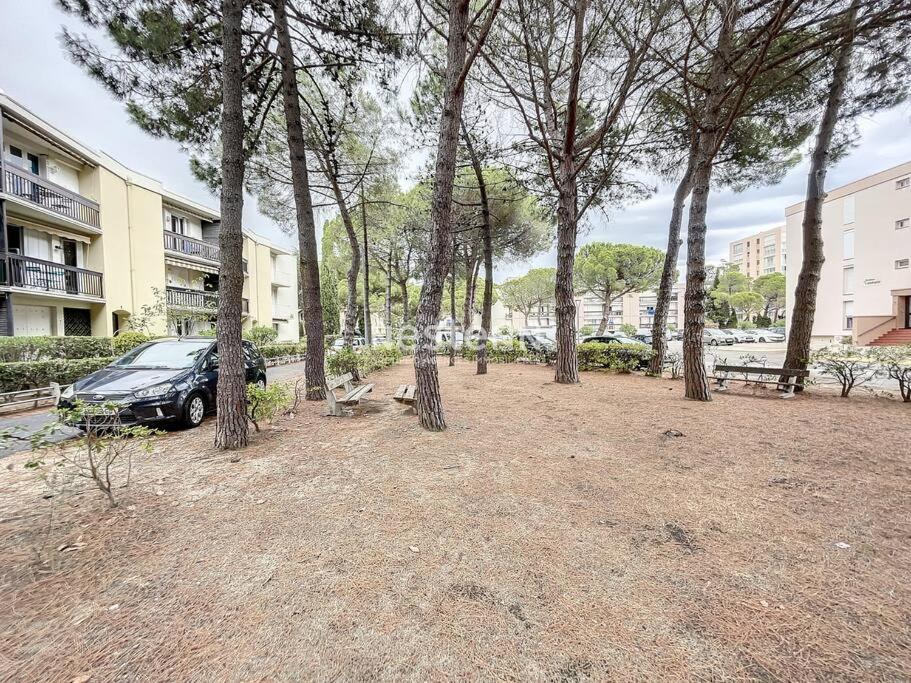 2980-Appartement 1 Ch A 100M De La Mer Argelès-sur-Mer Exterior foto